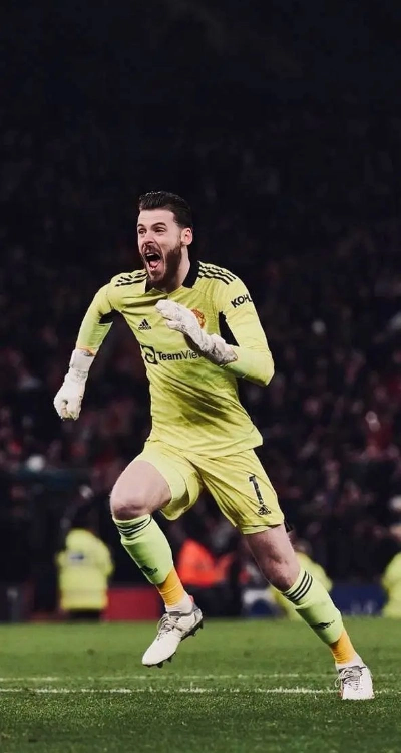hình ảnh de gea 3d