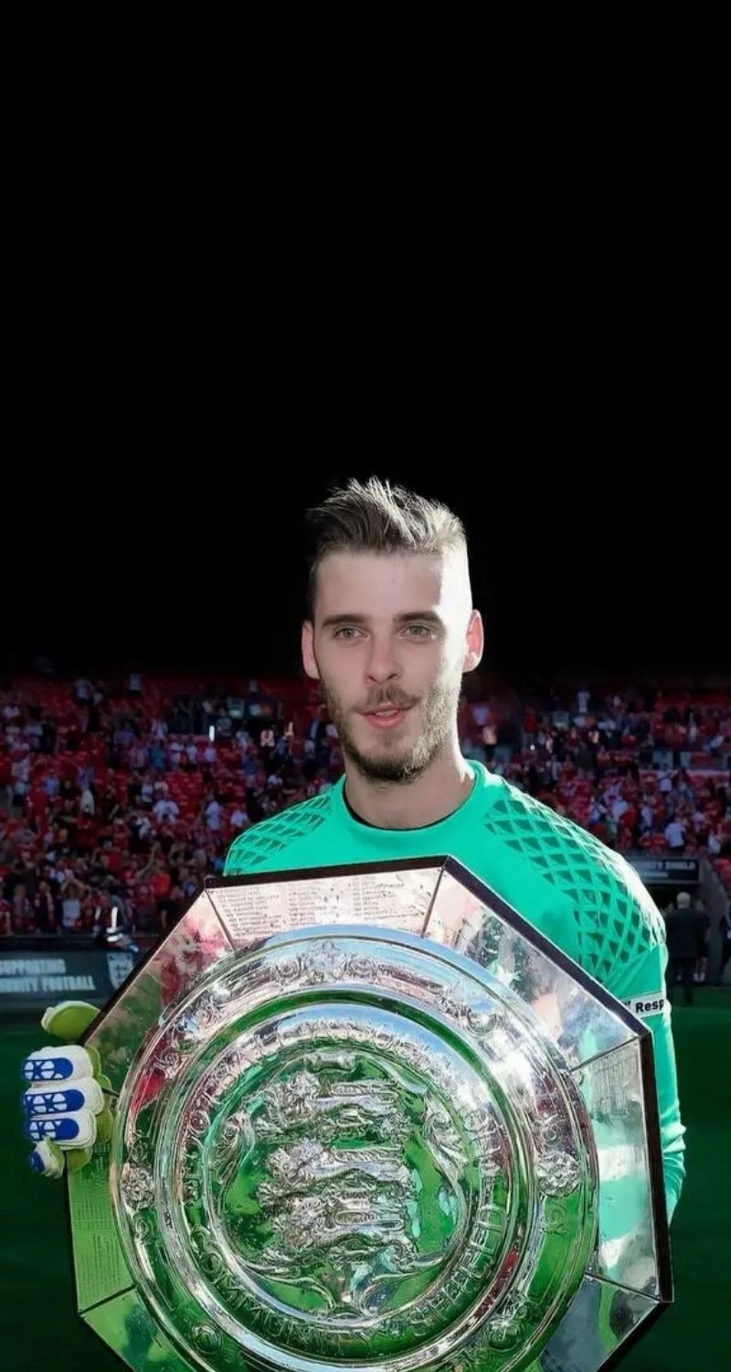 hình ảnh de gea nâng cup