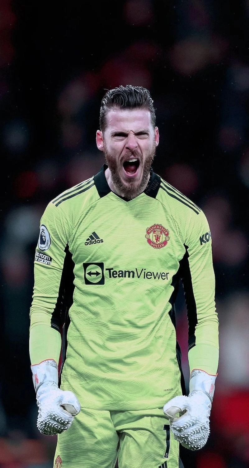 hình ảnh de gea siêu đẹp hd