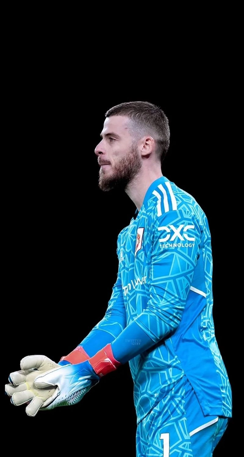 Hình nền David De Gea ngầu