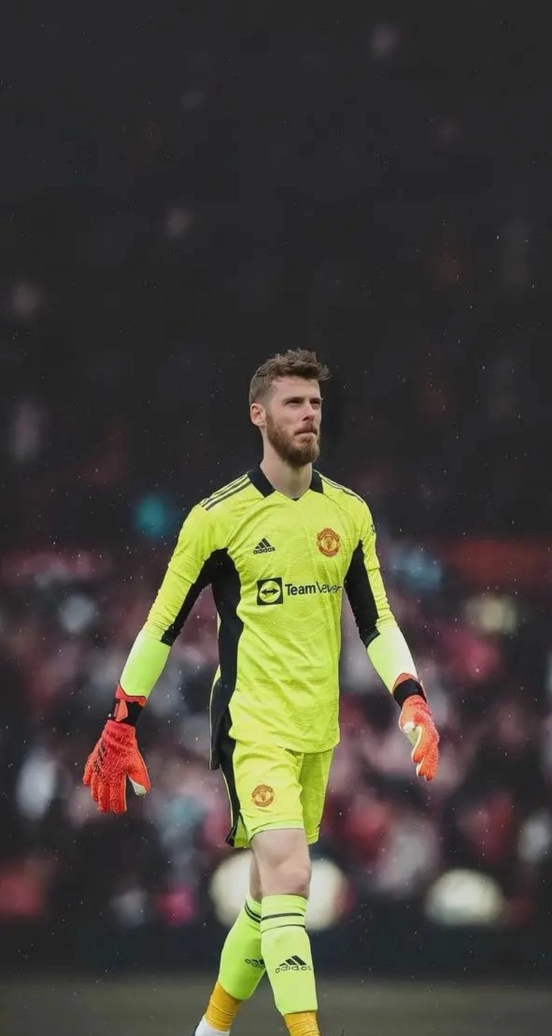 Hình nền thủ môn De Gea mạnh mẽ