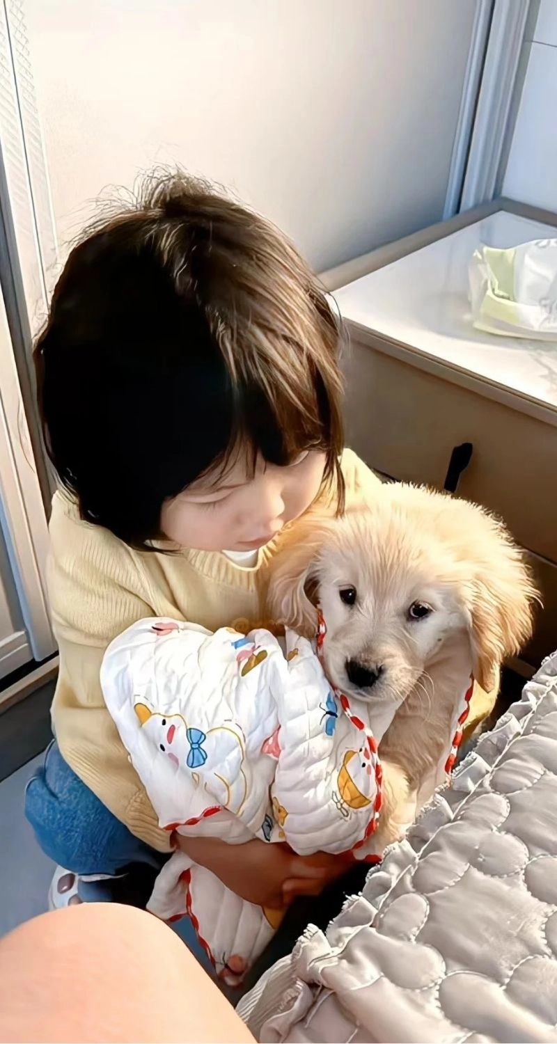 Hình nền bé gái cute