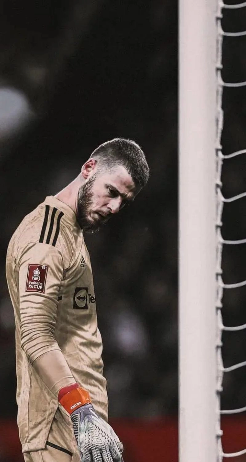 hình nền De Gea thủ môn