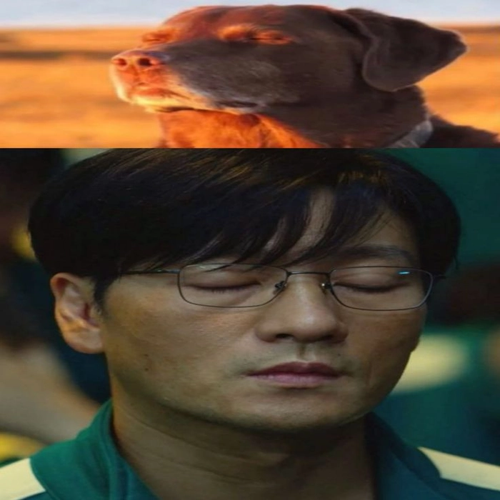 Squid Game 001 meme cảm động