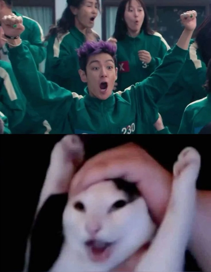 Squid Game meme chế vui