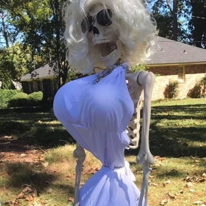 ảnh bựa meme skeleton