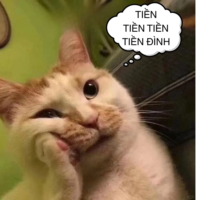 ảnh chế meme mèo overthinking