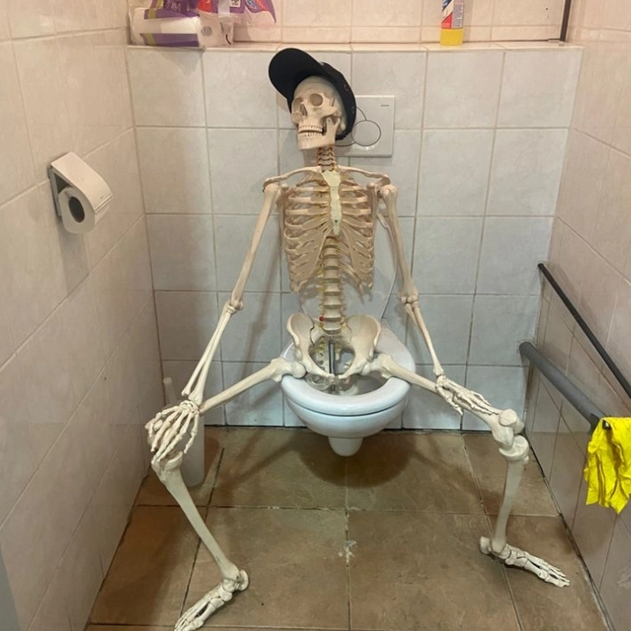 ảnh chế meme skeleton