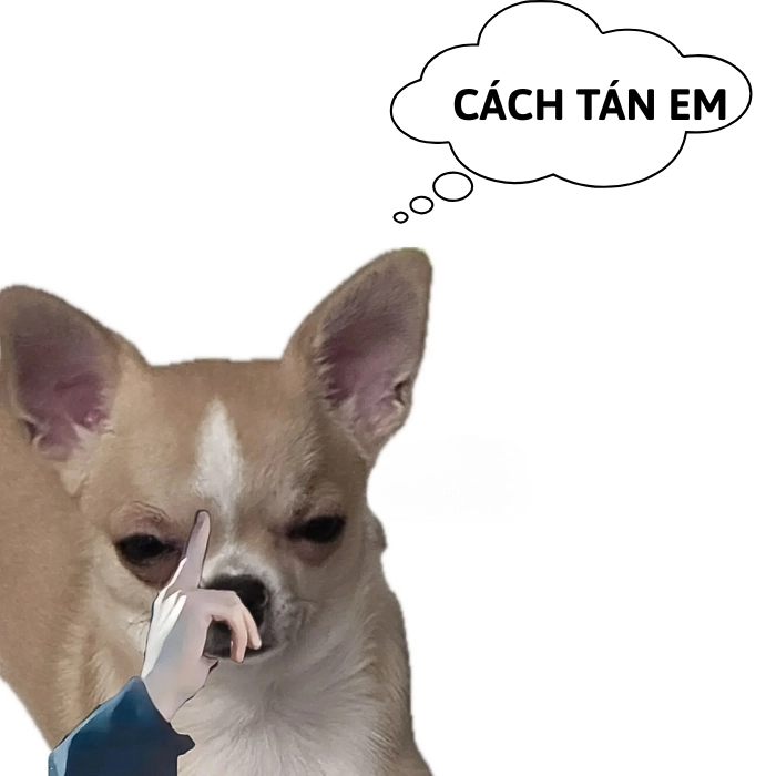 ảnh chó meme suy ngẫm