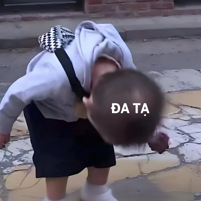 ảnh đa tạ meme