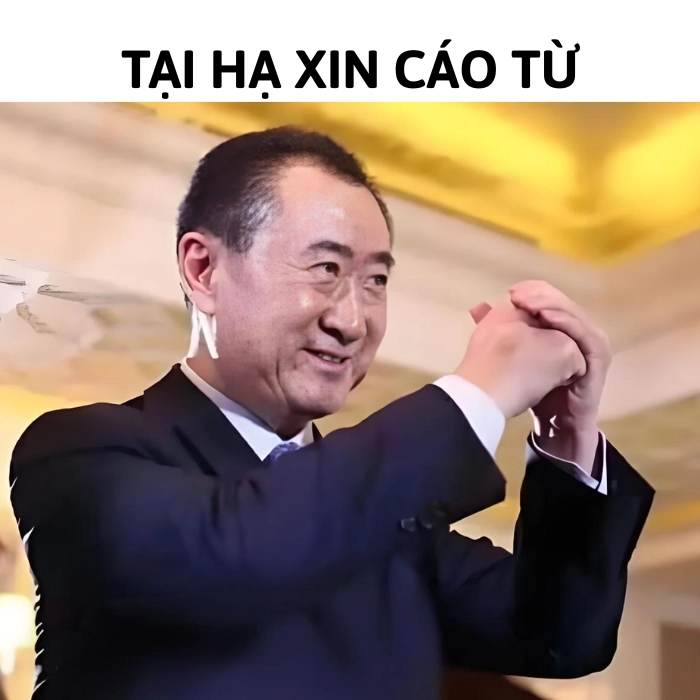 ảnh meme cáo từ