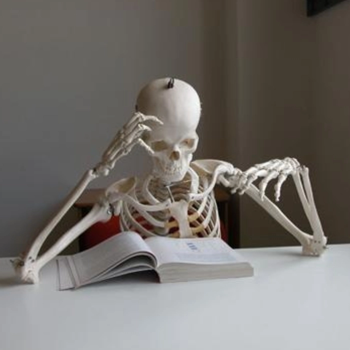 ảnh meme skeleton
