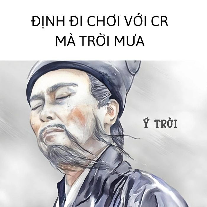 ảnh meme ý trời viral