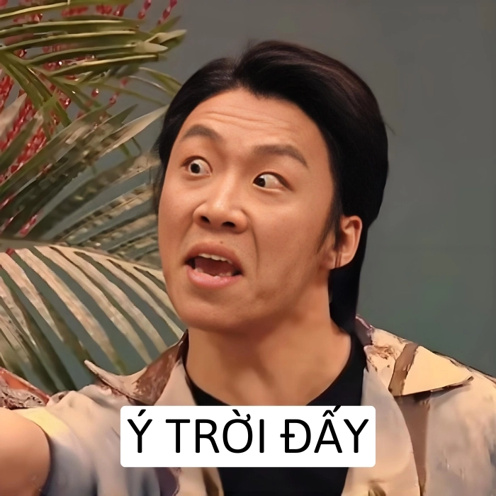 ảnh meme ý trời