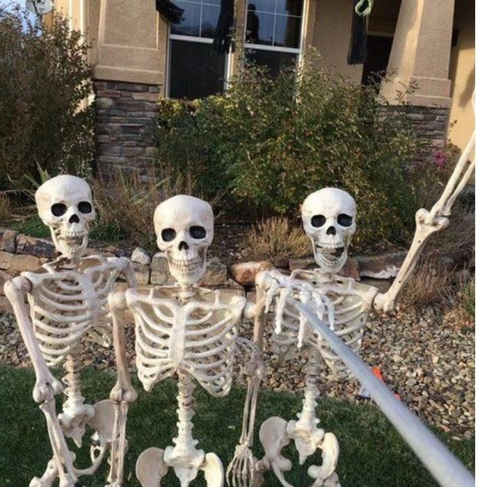 ảnh nhây bựa meme skeleton