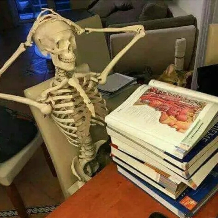 ảnh skeleton meme bựa