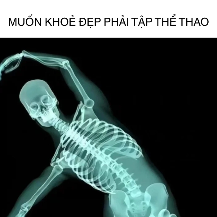 ảnh skeleton meme