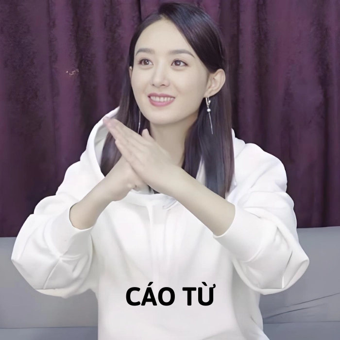 cáo từ meme chế ảnh
