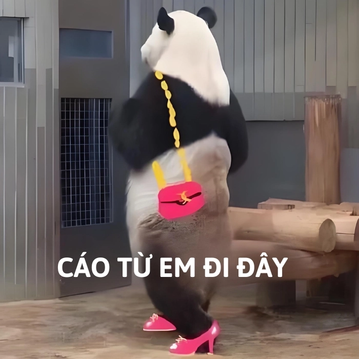 chế ảnh meme cáo từ