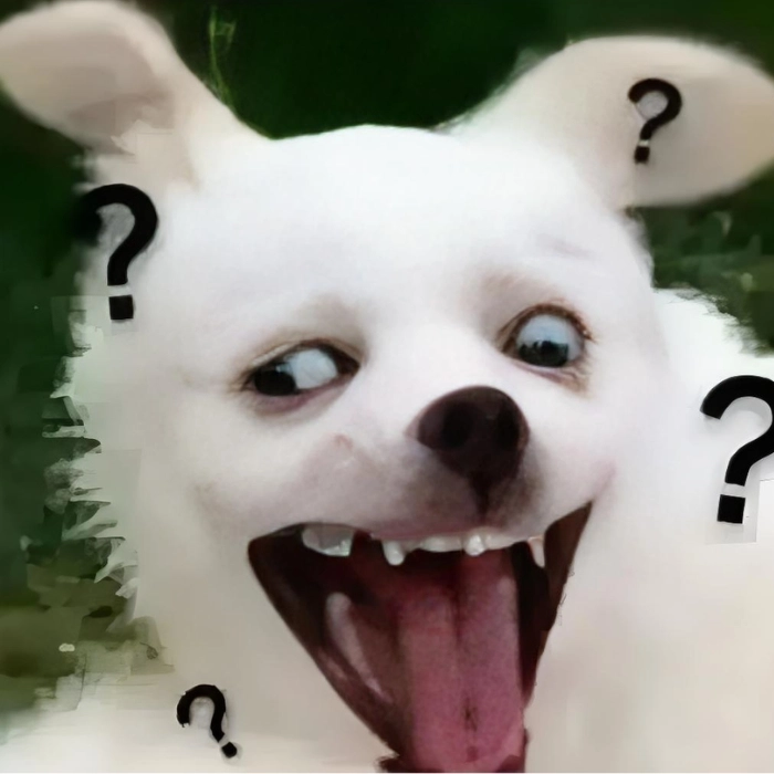 chế ảnh meme hài