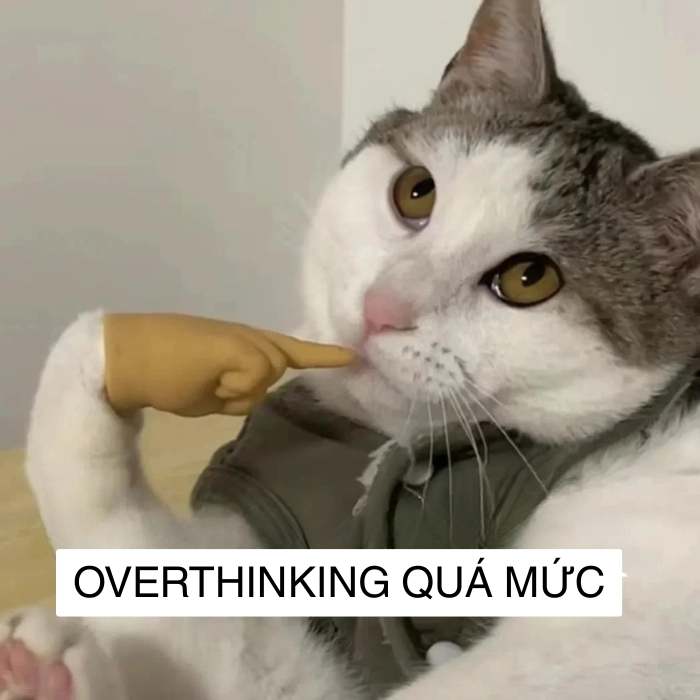 chế ảnh meme suy nghĩ nhiều