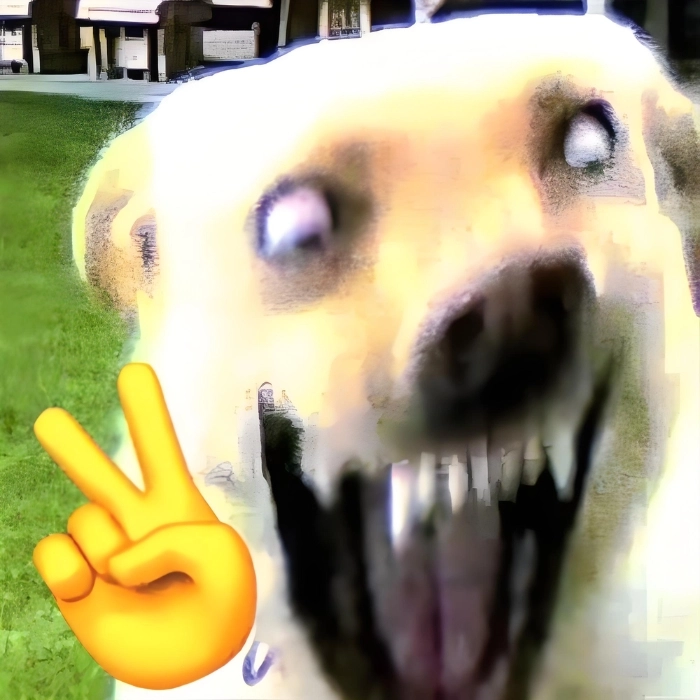 chế meme chó bựa
