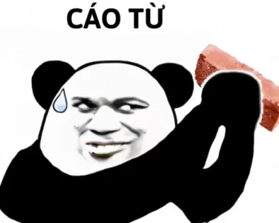 Tổng hợp 180+ meme cáo từ mặn, hài, bá đạo khỏi bàn