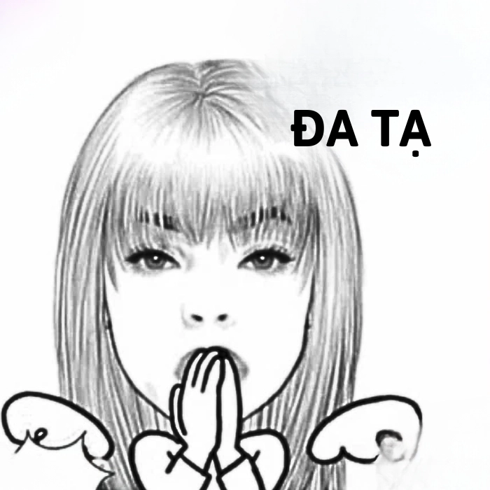 đa tạ meme hình ảnh bựa