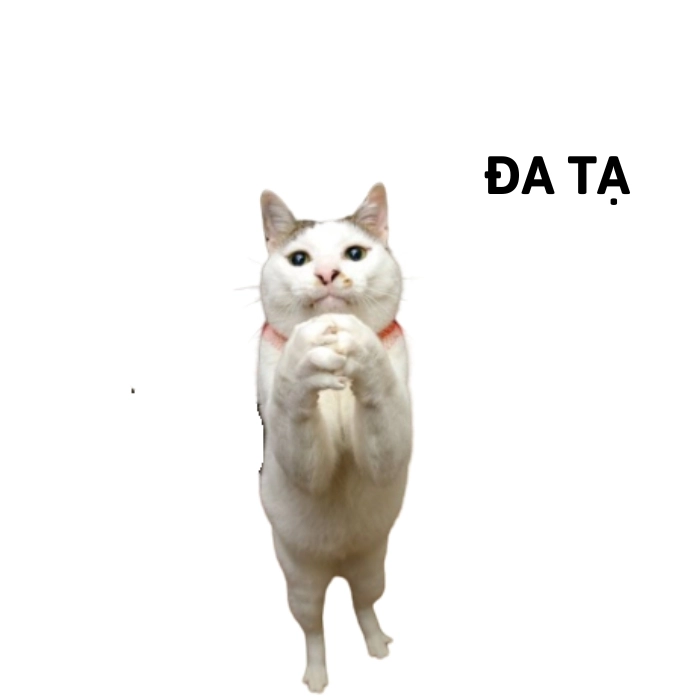 đa tạ mèo meme