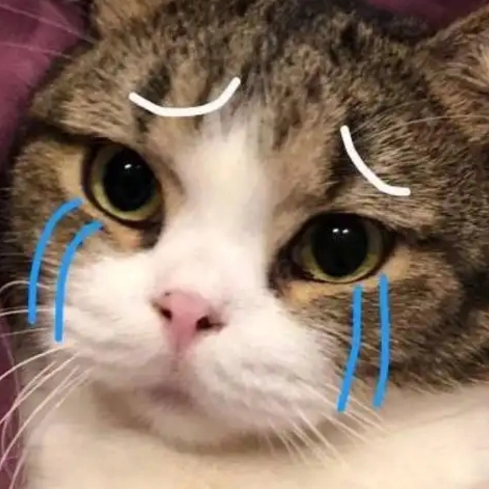 động vật meme buồn
