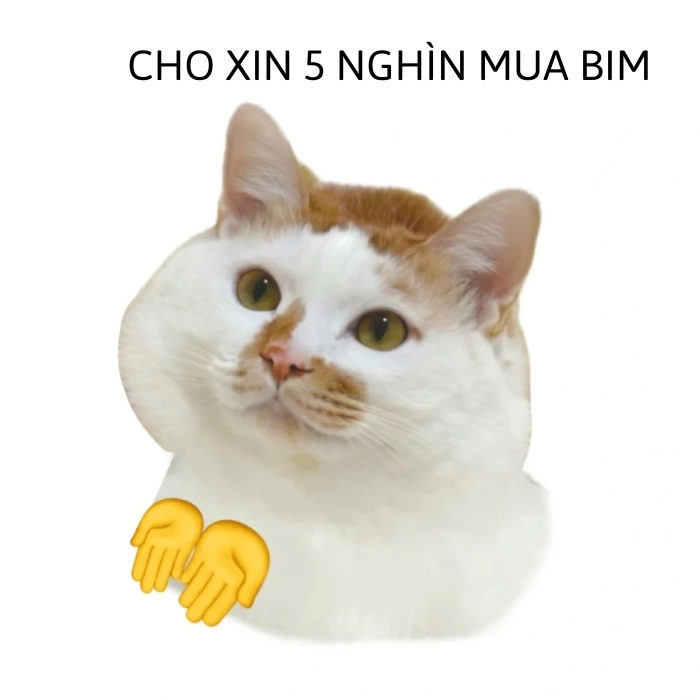 động vật meme cute