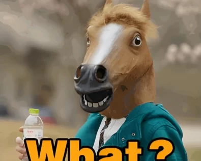 Tổng hợp meme động vật siêu hài, xem xong cười ná thở