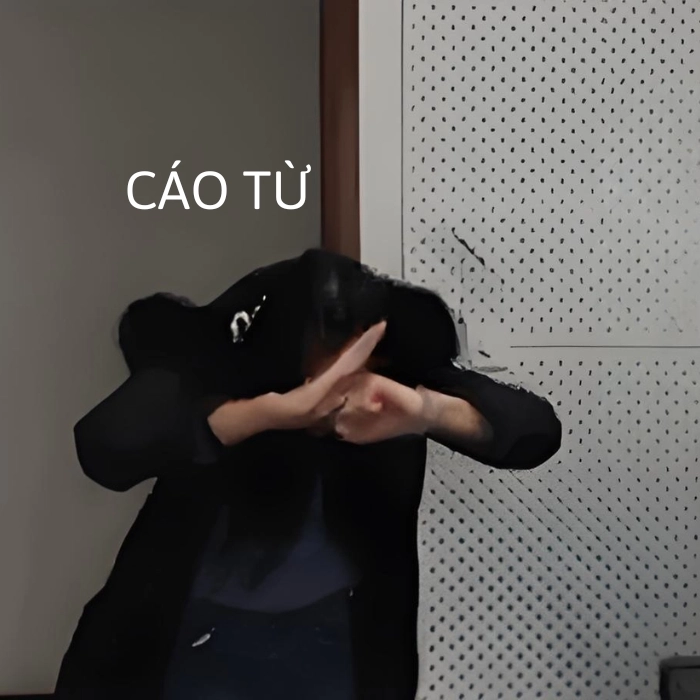 hình ảnh meme cáo từ