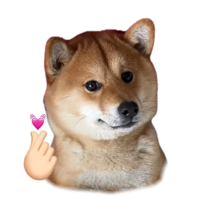 hình ảnh meme động vật dễ thương