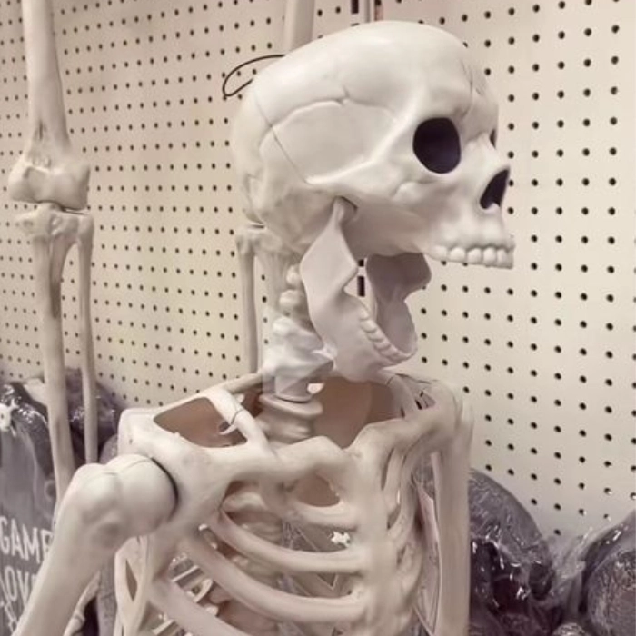 hình ảnh meme skeleton bựa