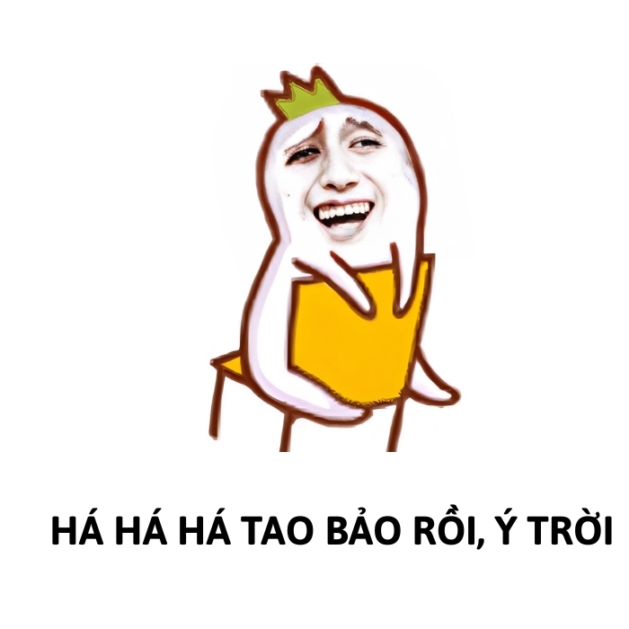 hình ảnh ý trời lầy lội meme