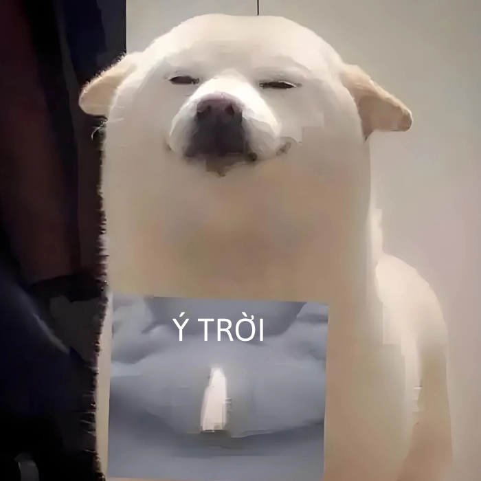 hình ảnh ý trời meme bá đạo