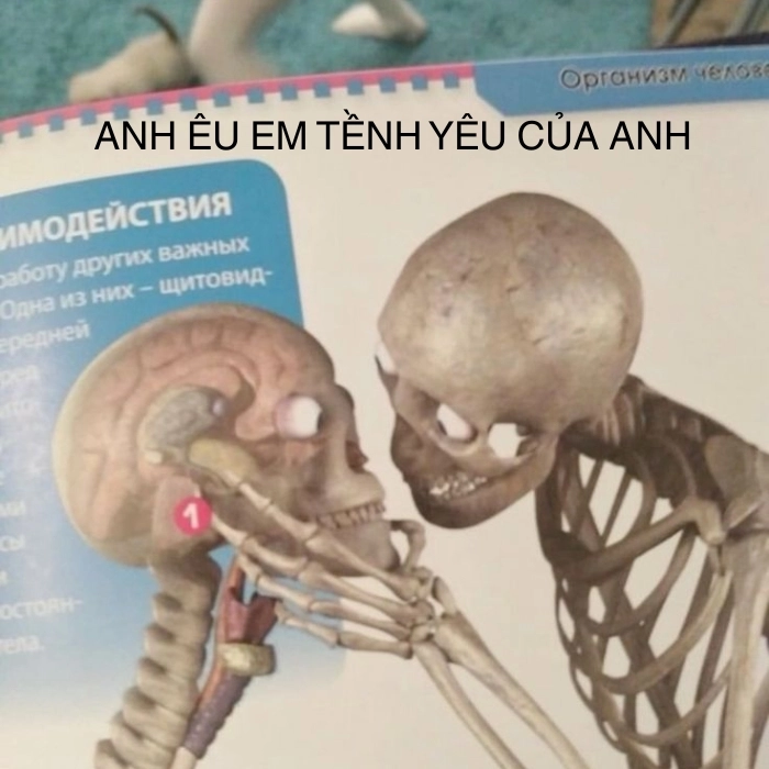 hình chế skeleton meme
