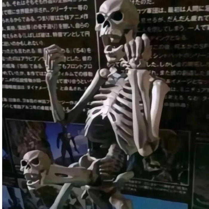 hình hài hước meme skeleton