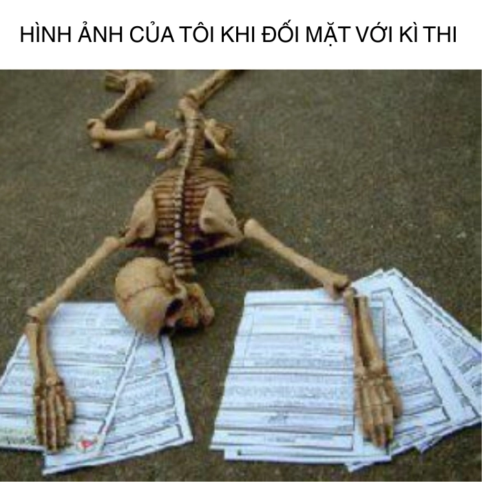 hình meme skeleton gục ngã