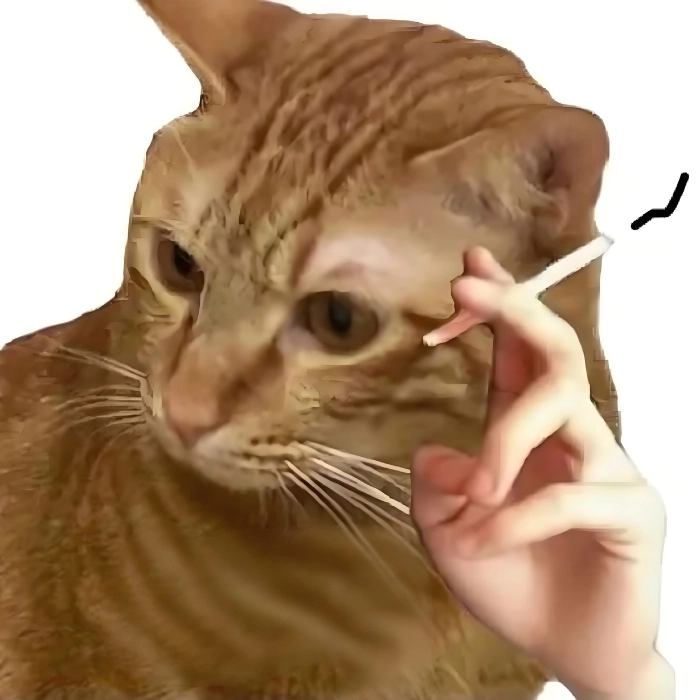 hình meme suy tư