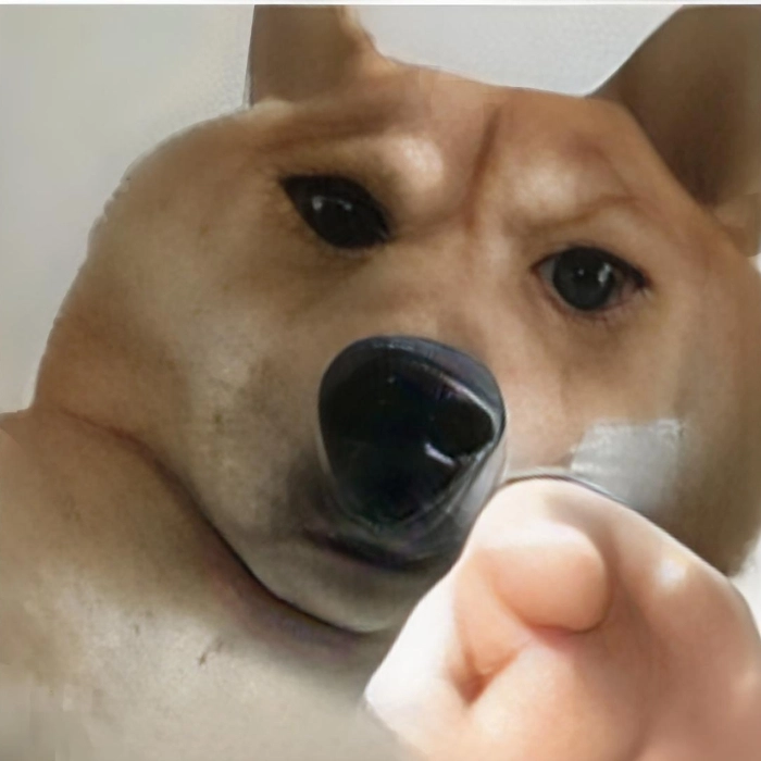 meme động vật chế