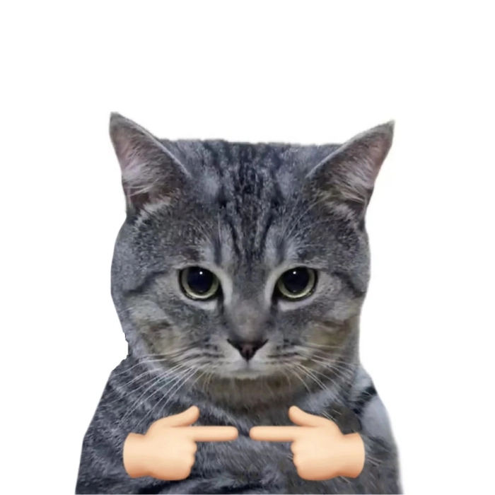 meme động vật cute