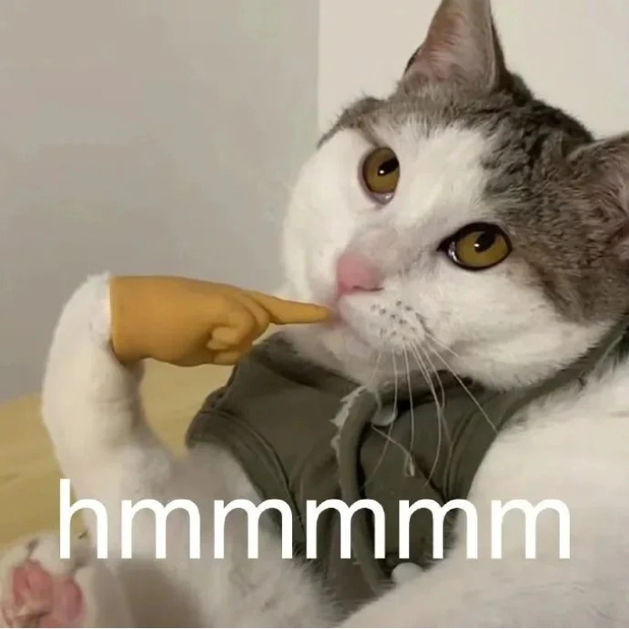 meme mèo suy nghĩ