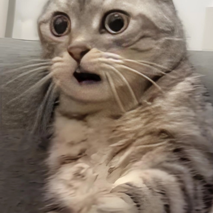 meme ngạc nhiên