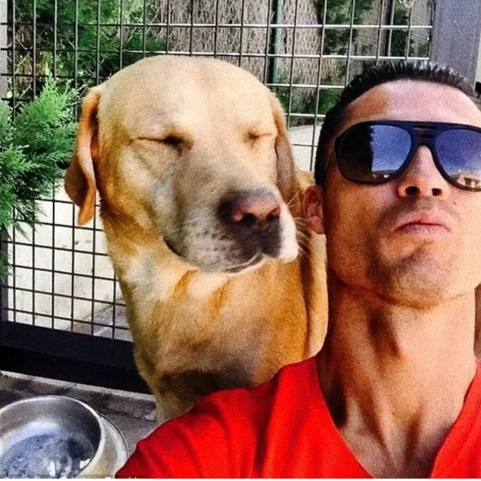 meme ronaldo ngầu