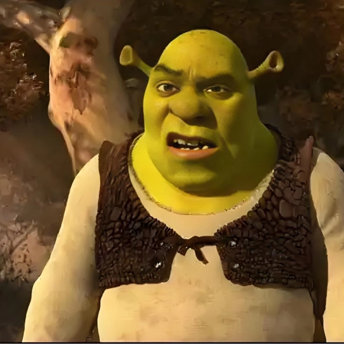 Shrek meme chất lừ