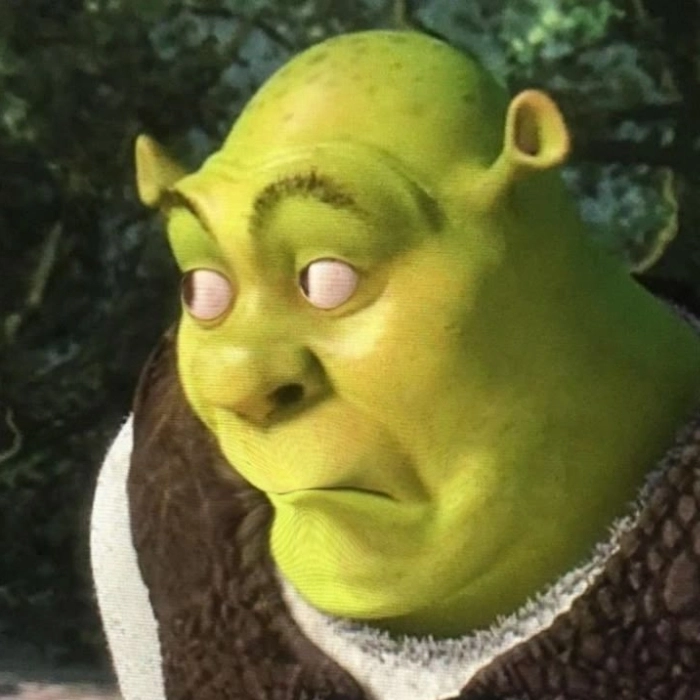 Shrek meme bắt trend
