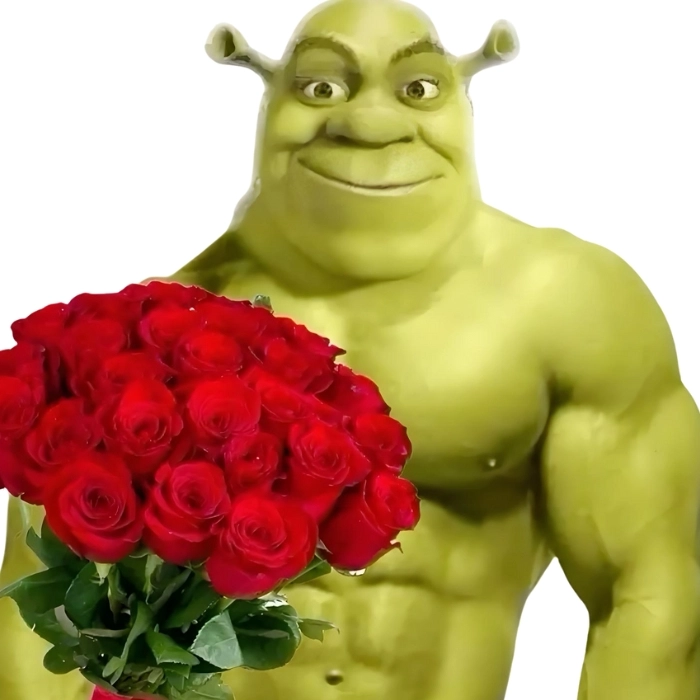 Shrek meme siêu lầy