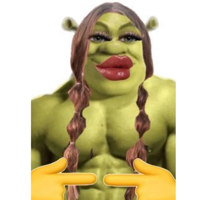 Meme shrek chế nhân vật